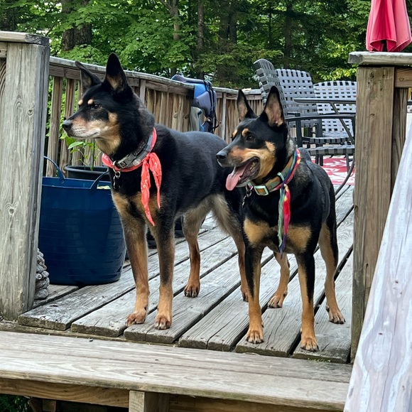 Hi! I’m Katie! - Picture 3 of 3